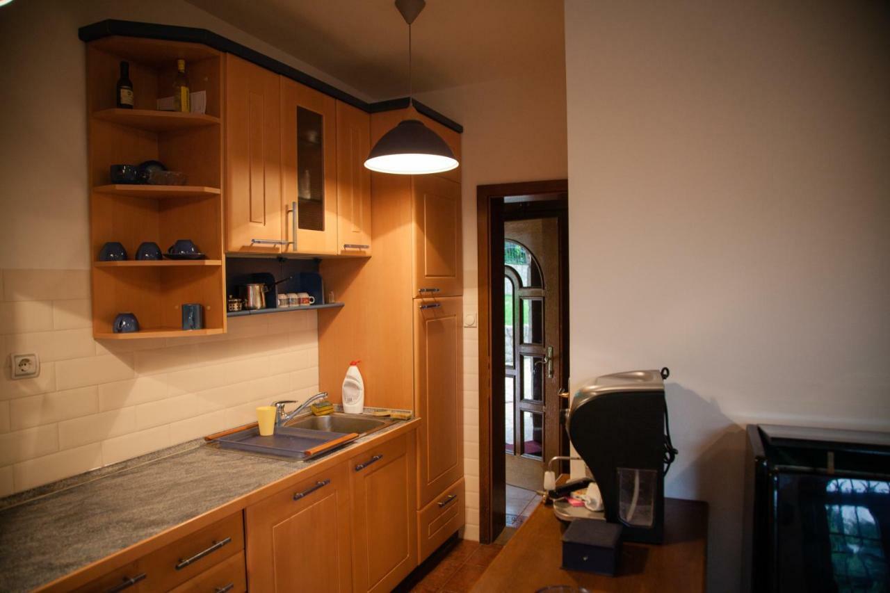 Exclusive House Legacy Villa Smederevo Buitenkant foto